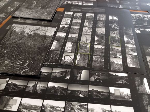 contact sheets