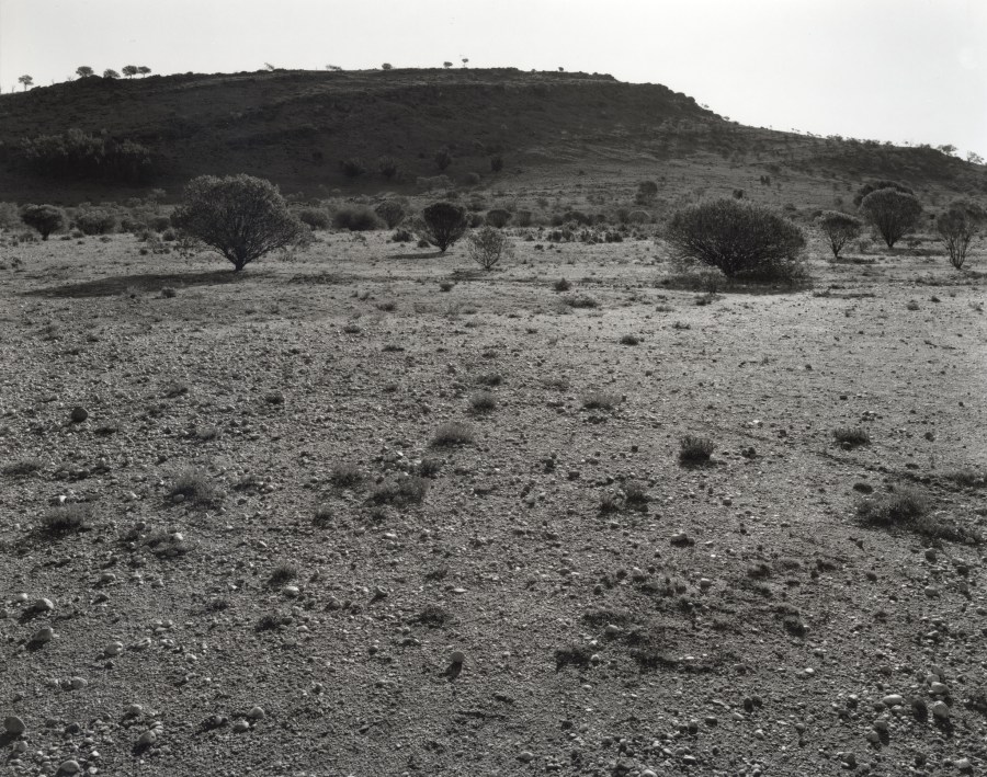 2018-01-29-0001_2048w